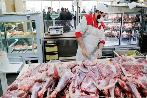 افزایش ۸۸ درصدی عرضه گوشت طیور در اردیبهشت ماه