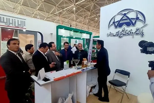 تاثیر منفی عدم فروش نفت بر صنعت گاز ما را وارد کننده خواهد کرد