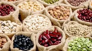 تعیین نرخ مصوب برای حبوبات وارداتی