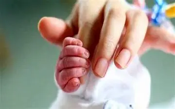 ارائه ۱۱ مرحله سبد غذایی رایگان در طرح یسنا 